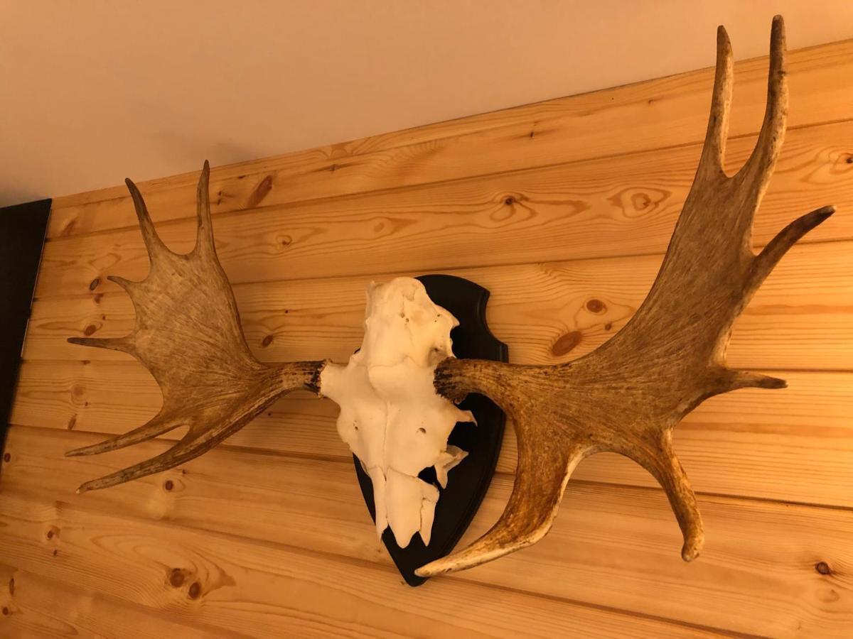 Chalet De Charme, Le "Caribou Lodge", Eifel Belge Bullange Bagian luar foto